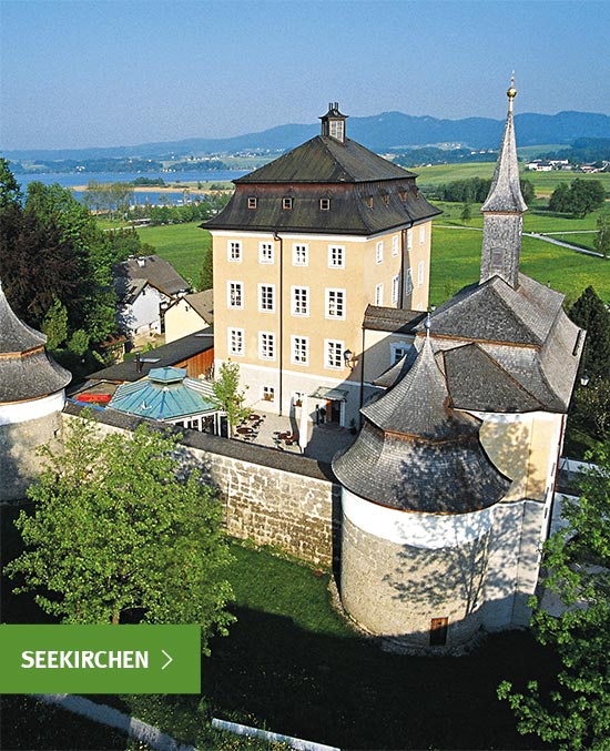 Eine malerische Burg mit See im Hintergrund, Hochschulzentrum Uni Seeburg